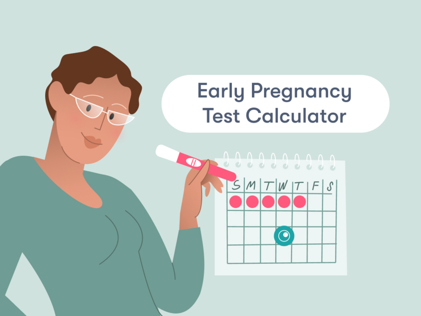 When to take a pregnancy test calculator Flo